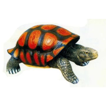 Riesenschildkröte lebensgroß