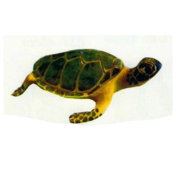 große Wasserschildkröte lebensgroß