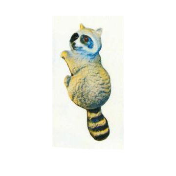 Waschbär hängend Kopf links lebensgroß