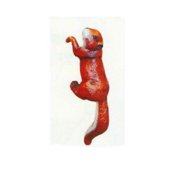 Eichhörnchen hängend Kopf links lebensgroß