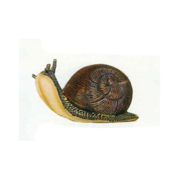Große Schnecke verkleinert