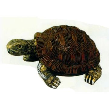 Schildkröte klein lebensgroß