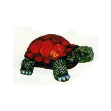 Schildkröte klein lebensgroß