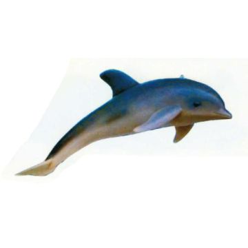 Delfin schwimmend lebensgroß