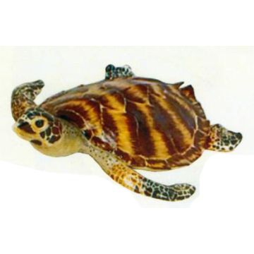 große schwimmende Wasserschildkröte lebensgroß