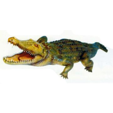 großes Krokodil mit offenem Maul lebensgroß