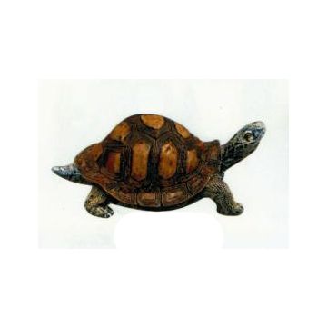 Wasserschildkröte lebensgroß