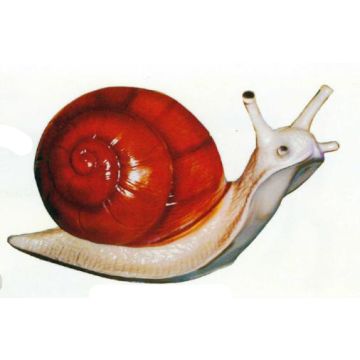 Große Schnecke übergroß XXL