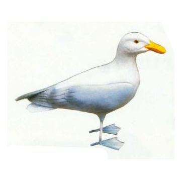 Möwe stehend lebensgroß