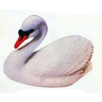 Schwan schwimmend lebensgroß