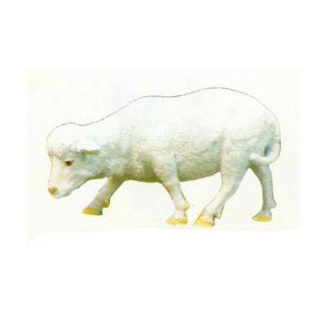 kleines Lamm Kopf unten lebensgroß