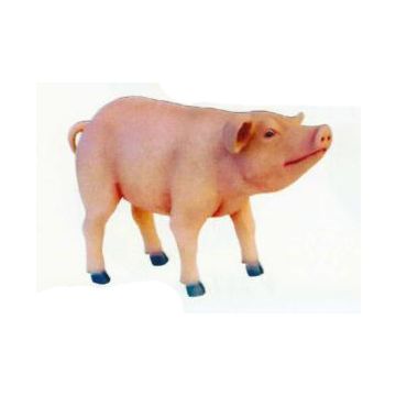 Ferkel stehend lebensgroß