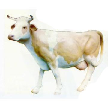 hübsche weiß beige Kuh lebensgroß