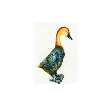 schwarz orangene Gans lebensgroß