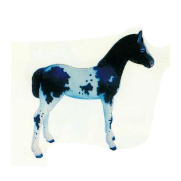 geflecktes Pony lebensgroß