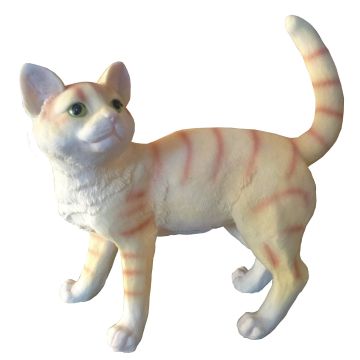 Katze stehend lebensgroß