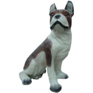 franz. Bulldogge sitzend, Kampfhund lebensgroß