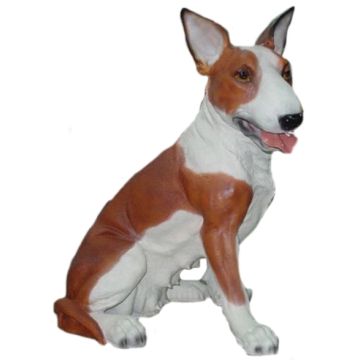 Kampfhund Bullterrier sitzend lebensgroß