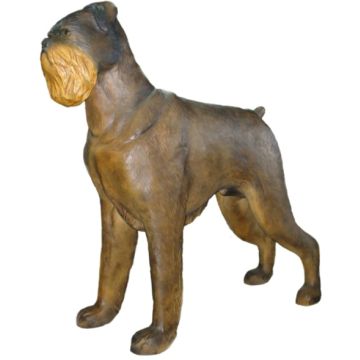 belgischer Griffon Hund groß lebensgroß