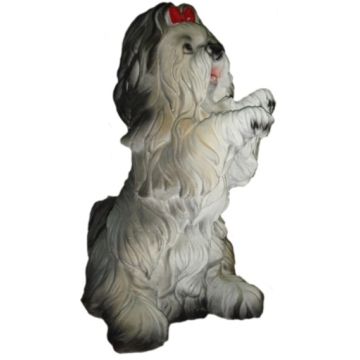 kleiner Hund lebensgroß