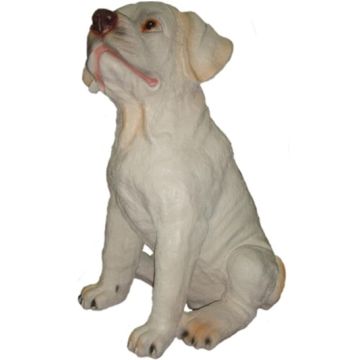 Hund, Labrador Welpe lebensgroß