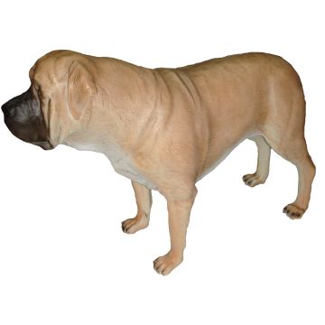 Hund,Mastiff lebensgroß