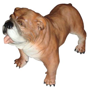 Hund, Bulldogge lebensgroß