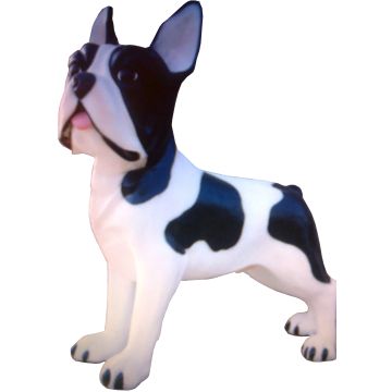 Hund französische Bulldogge übergroß XXL