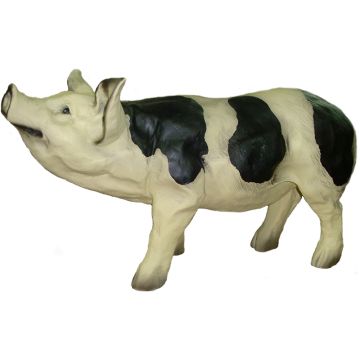 Schwein gefleckt lebensgroß