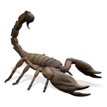 XXL Skorpion übergroß XXL