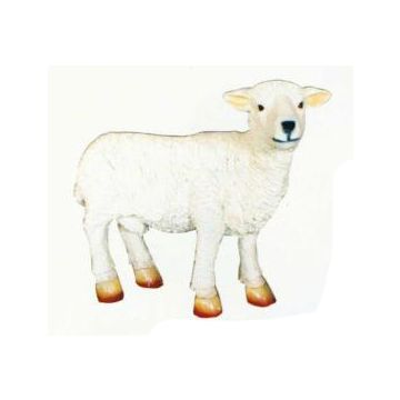 kleines wolliges Schaf lebensgroß