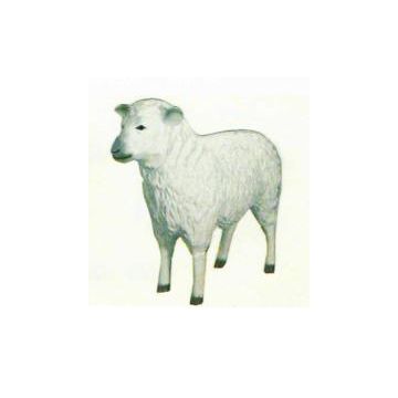weißes Schaf lebensgroß