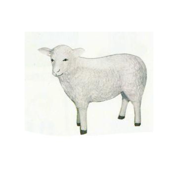 weißes Schaf mit schrägem Kopf lebensgroß