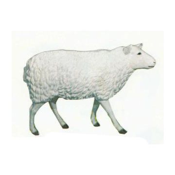 großes laufendes Schaf lebensgroß