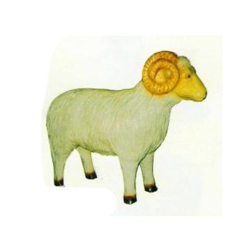 Widder lebensgroß