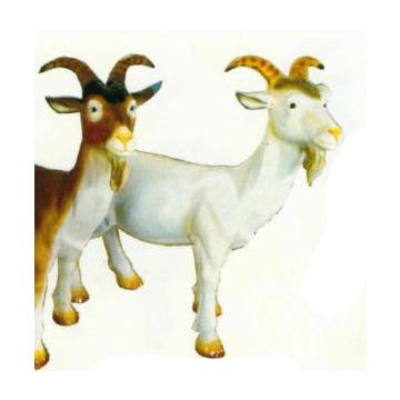 Bergziegenbock weiß lebensgroß