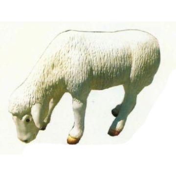 grasendes Schaf lebensgroß