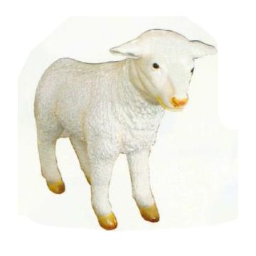 großes weißes Lamm lebensgroß
