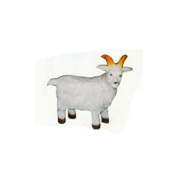 kleiner Bock verkleinert
