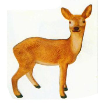 Baby Reh lebensgroß