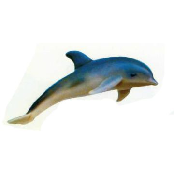springender Delfin lebensgroß
