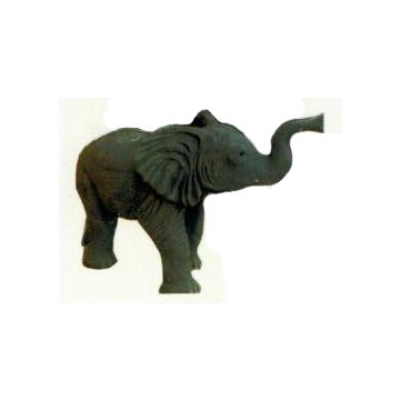 kleiner stehender Elefant Rüssel oben lebensgroß