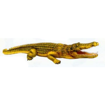 großes Krokodil mit offenem Maul lebensgroß
