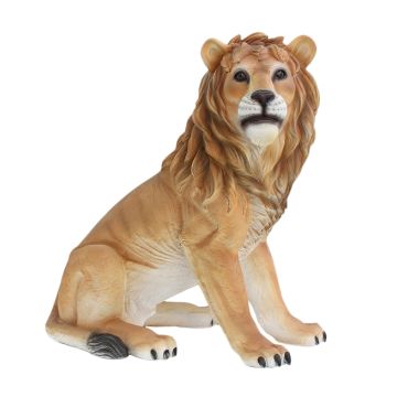 Löwe sitzend Blick rechts lebensgroß