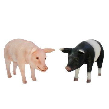 Schweine rosa und schwarzweiß stehend  lebensgroß