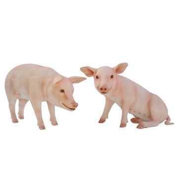 Rosa Schweine stehend und sitzend lebensgroß