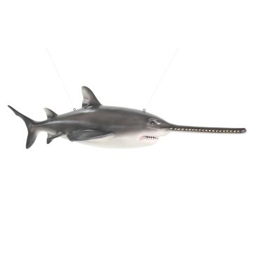 Sägefisch  lebensgroß