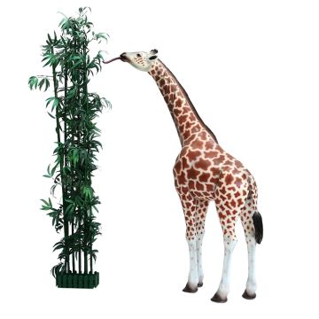 BabyGiraffe stehend und essend lebensgroß