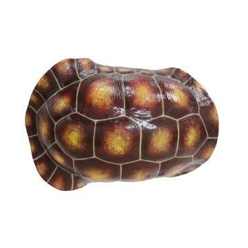Brauner Schildkrötenpanzer für Wand lebensgroß