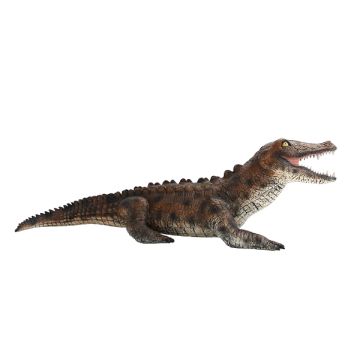 Alligator lebensgroß